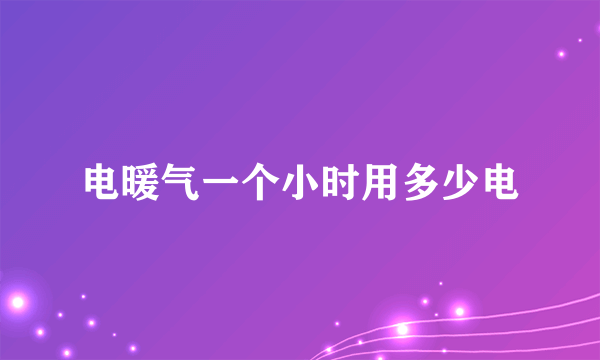 电暖气一个小时用多少电