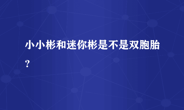 小小彬和迷你彬是不是双胞胎？