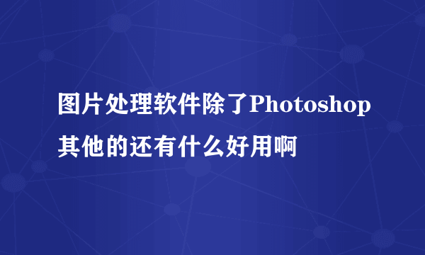 图片处理软件除了Photoshop其他的还有什么好用啊