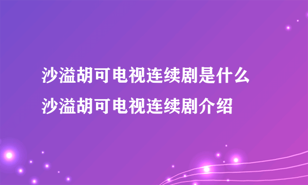 沙溢胡可电视连续剧是什么 沙溢胡可电视连续剧介绍