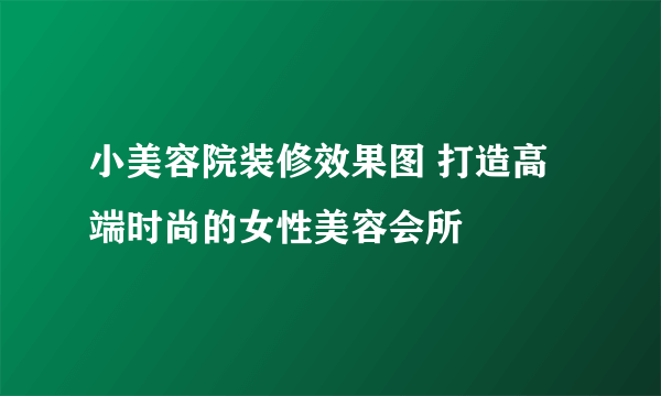 小美容院装修效果图 打造高端时尚的女性美容会所