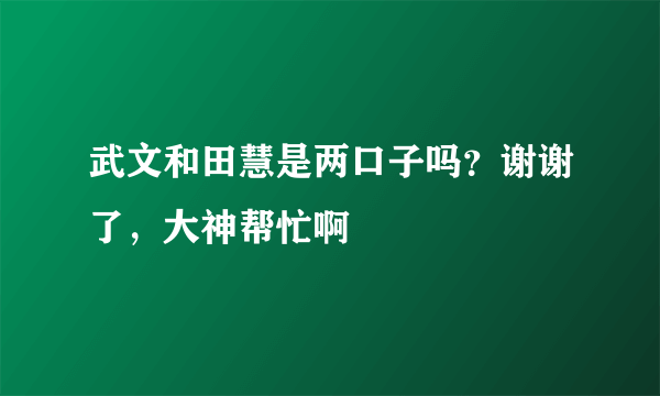 武文和田慧是两口子吗？谢谢了，大神帮忙啊