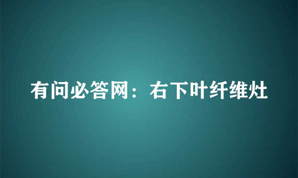 有问必答网：右下叶纤维灶