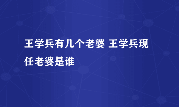 王学兵有几个老婆 王学兵现任老婆是谁