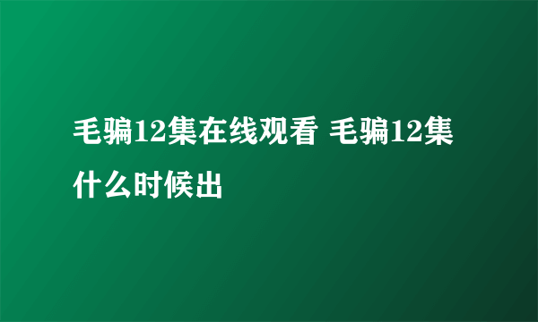 毛骗12集在线观看 毛骗12集什么时候出