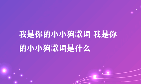 我是你的小小狗歌词 我是你的小小狗歌词是什么