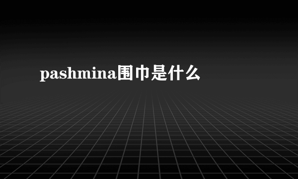 pashmina围巾是什么