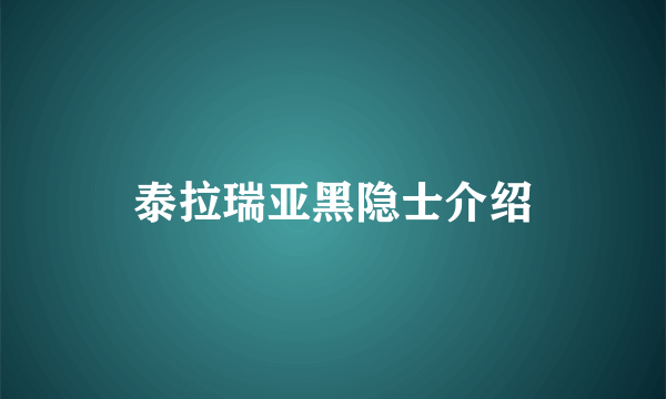 泰拉瑞亚黑隐士介绍