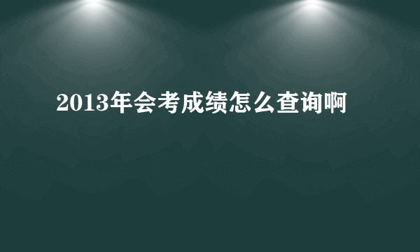 2013年会考成绩怎么查询啊