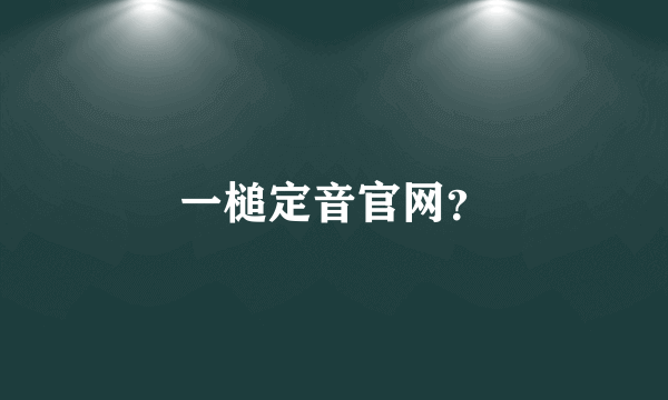 一槌定音官网？