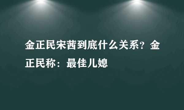 金正民宋茜到底什么关系？金正民称：最佳儿媳