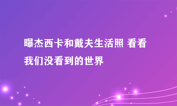 曝杰西卡和戴夫生活照 看看我们没看到的世界