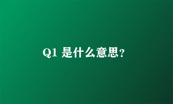 Q1 是什么意思？