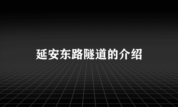 延安东路隧道的介绍