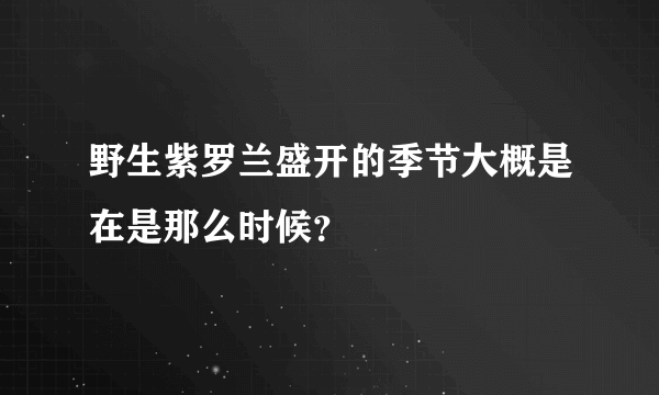 野生紫罗兰盛开的季节大概是在是那么时候？