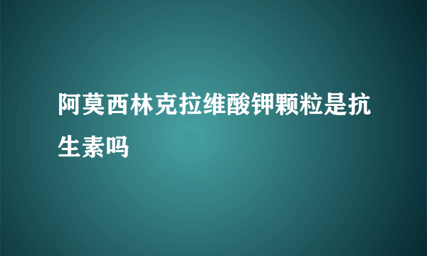 阿莫西林克拉维酸钾颗粒是抗生素吗